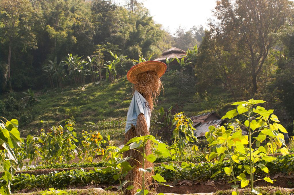 Building One’s Armor with the Wizard of Oz: How the Scarecrow found his&nbsp;Brain