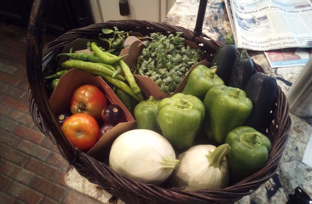 The Past and Future of Blind&nbsp;House