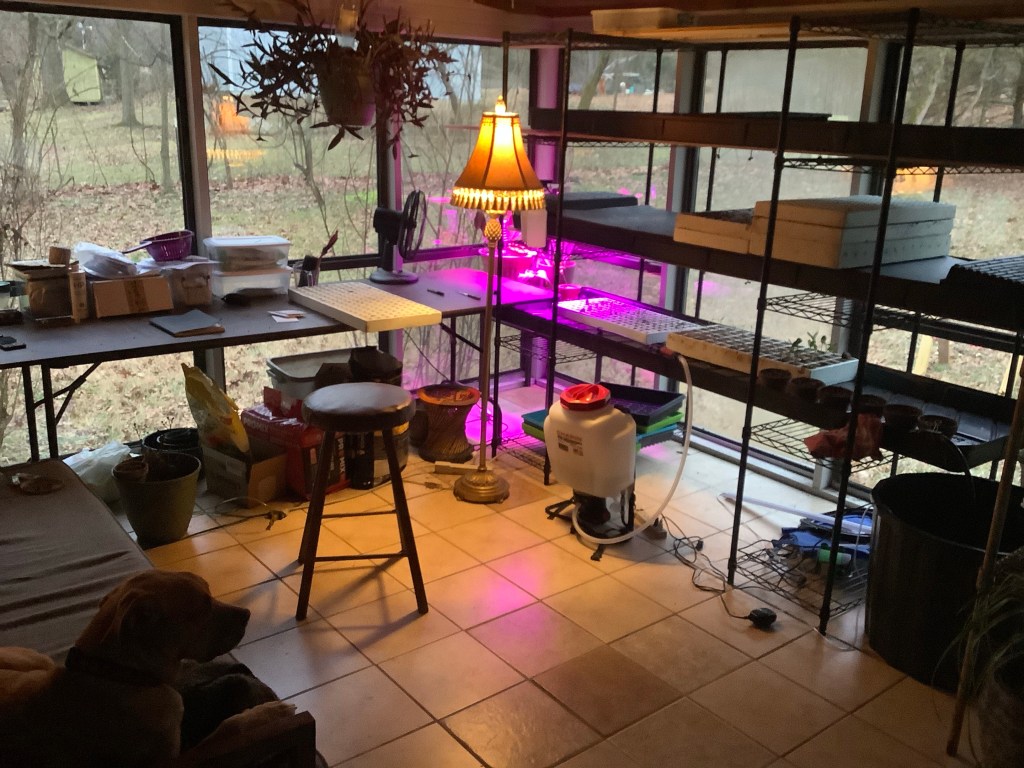 Thoughts on Modern Political&nbsp;Paths